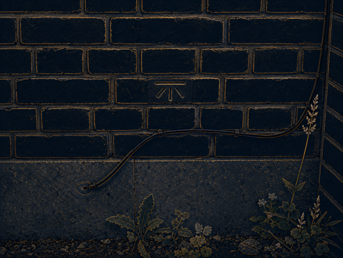A standard Ordnance Survey benchmark cut into dark brickwork